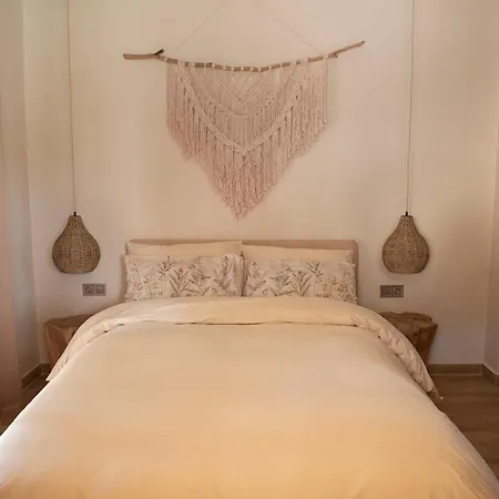 Cyanic Horizon Case de vacanță