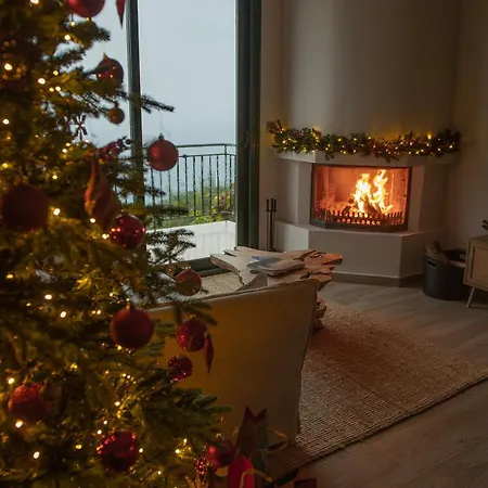 Cyanic Horizon Tatil Evi *